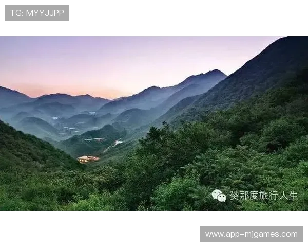 张洪斌谈密云夺冠:篮球特色区建设培育冠军土壤